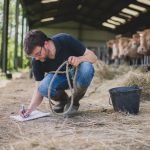 Viande en direct du producteur